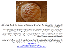 Tablet Screenshot of honey-yemen.com